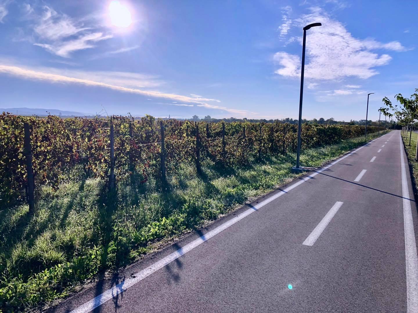 Immagine per Turriaco vince due e-bike e le mette a disposizione del turismo locale